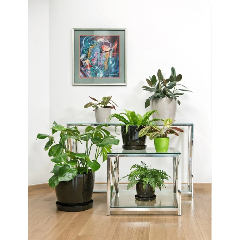 Dibçək Lamela Magnolia 30 sm, plastik, bej (5900119742066) Dibçək Lamela Magnolia 30 sm, plastik, bej (5900119742066)