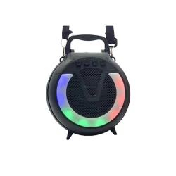 Portativ dinamik ZQS-1433