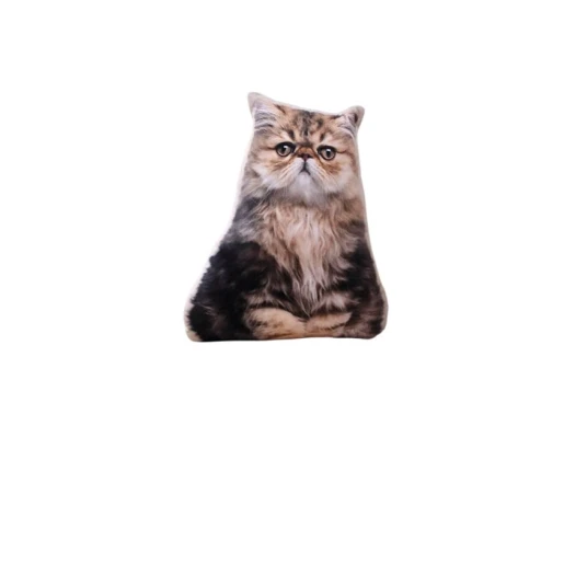 Pişik formalı yumşaq oyuncaq yastıq 1204, 50х30х40 sm