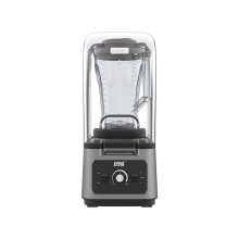 Blender Winning Star ST-5902