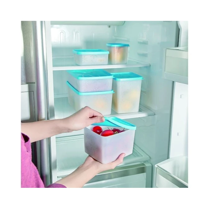 Набор контейнеров для хранения Hobby Life Alaska No Frost 21155, пластик, 6 шт, товар в ассортименте