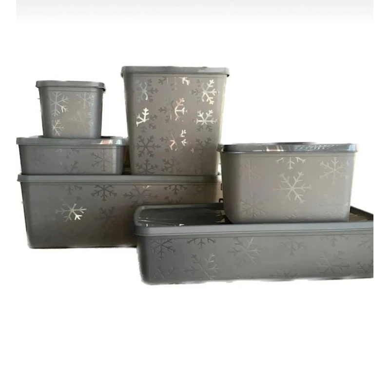 Набор контейнеров для хранения Hobby Life Alaska No Frost 21155, пластик, 6 шт, товар в ассортименте