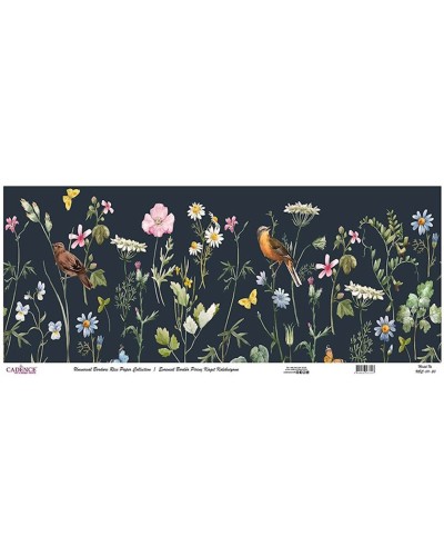Dekupaj üçün düyü kağızı Cadence Universal Bordure 30x68, UBC-011-30