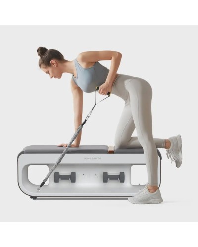Multifunksiyonal idman trenajoru KingSmith Multifunctional Gym Bench B1