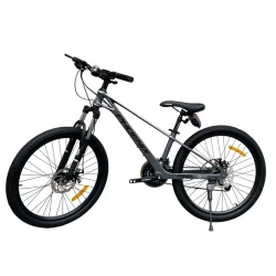 Велосипед Phoenix, серый