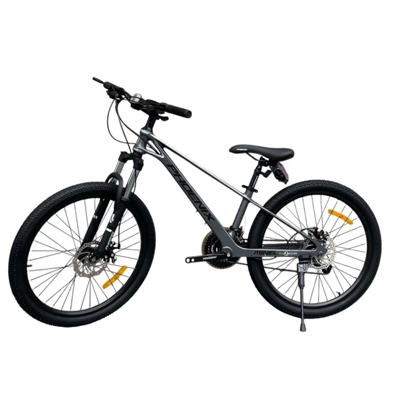 Велосипед Phoenix, серый