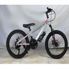 Şəhər velosipedi, 20
