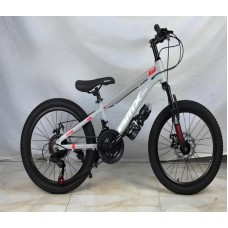 Şəhər velosipedi, 20