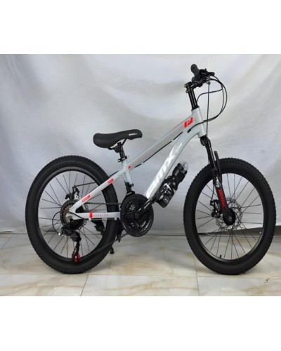 Şəhər velosipedi, 20