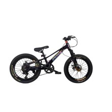 Uşaq velosipedi GTR025, 20