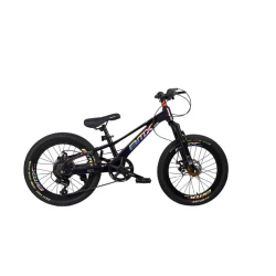 Uşaq velosipedi GTR025, 20