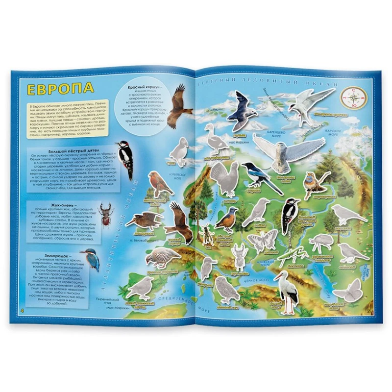 Книга Атлас мира с наклейками Птицы и насекомые Книга Атлас мира с наклейками Птицы и насекомые