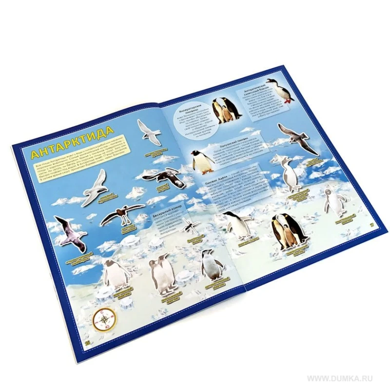 Книга Атлас мира с наклейками Птицы и насекомые Книга Атлас мира с наклейками Птицы и насекомые