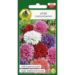 Семена цветов PNOS Aster Chryzantemowy Mix, 0.8 г