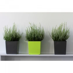 Кашпо Lamela Juka, antrasit, 300x300x310 mm