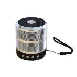 Портативная колонка WS-887 Silver Портативная колонка WS-887 Silver