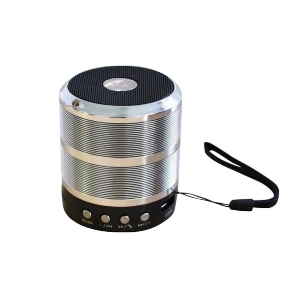 Портативная колонка WS-887 Silver Портативная колонка WS-887 Silver