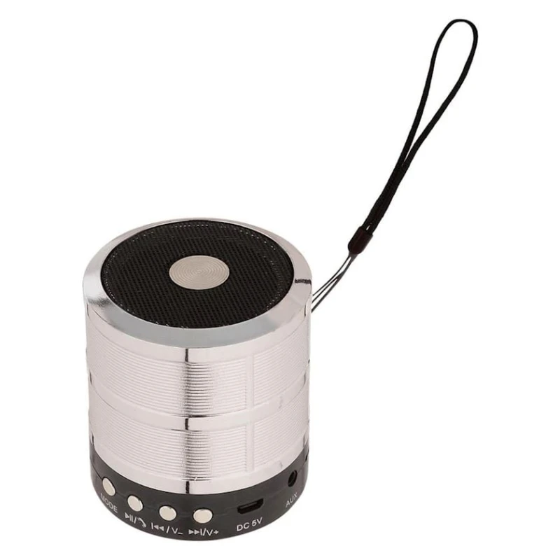 Портативная колонка WS-887 Silver Портативная колонка WS-887 Silver