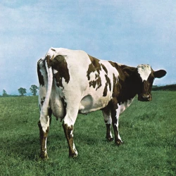 Виниловая пластинка Pink Floyd Records Pink Floyd - Atom Heart Mother