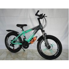 Uşaq velosipedi 20, Çin, 2 təkər, su qabı və duraliminium pedal - BB-653