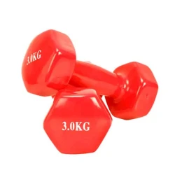 Гантели для фитнеса Sweat цельные (неразборные) 2 штуки по 3 кг