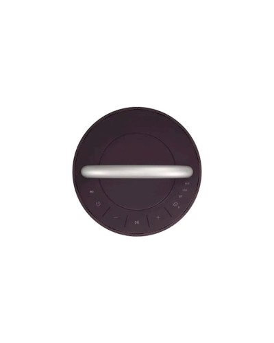 Portativ dinamik LG RP4.DARELLK