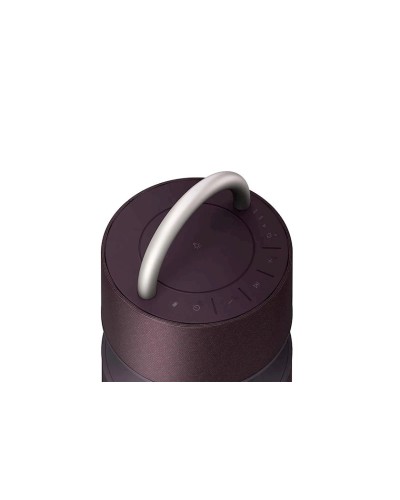 Portativ dinamik LG RP4.DARELLK