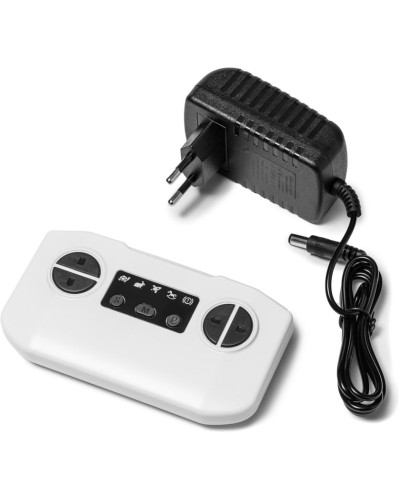 Uşaq elektrik avtomobili Sundays Jeep Багги LS119-A, ağ
