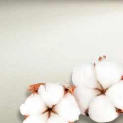 Бумага для акварели Hahnemühle Watercolour, 640 г/м2, 56x76 см, 5 листов, 100% хлопок, среднее зерно Бумага для акварели Hahnemühle Watercolour, 640 г/м2, 56x76 см, 5 листов, 100% хлопок, среднее зерно