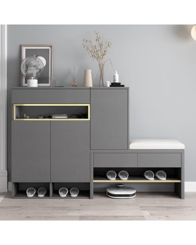 Ayaqqabı şkafı Ref-1, 168x53x153 sm, laminat, 2 rəng - ZARR051