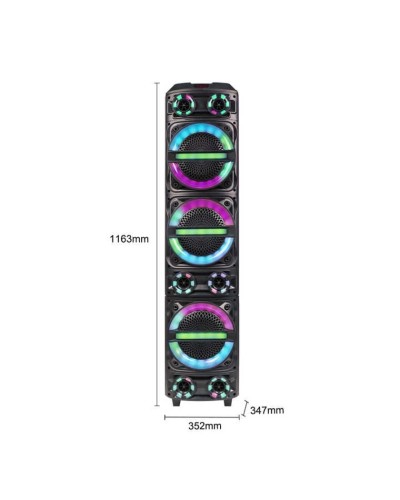 Portativ dinamik ZQS-8315