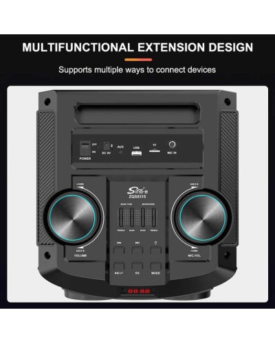 Portativ dinamik ZQS-8315