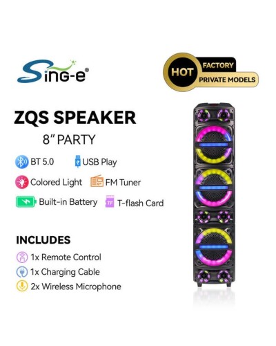 Portativ dinamik ZQS-8315