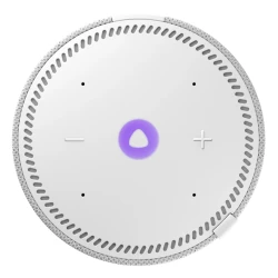 Умная колонка Yandex cтанция Mini Plus Gray (YNDX-00020G) Умная колонка Yandex cтанция Mini Plus Gray (YNDX-00020G)