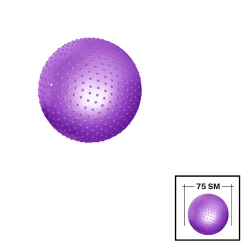 Fitnes topu Gymnic 202022000060 tikanlı, PVC, 75 sm, bənövşəyi