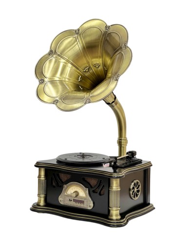 Vinil plastin pleyeri Qrammofon Qara/Qızılı