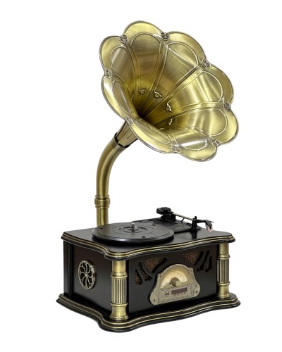 Vinil plastin pleyeri Qrammofon Qara/Qızılı