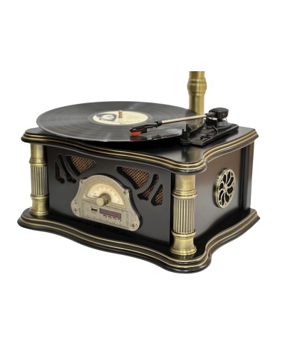 Vinil plastin pleyeri Qrammofon Qara/Qızılı