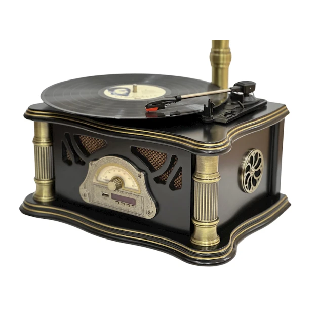 Vinil plastin pleyeri Qrammofon Qara/Qızılı Vinil plastin pleyeri Qrammofon Qara/Qızılı