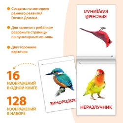 Набор развивающих книг Буква Ленд Карточки Домана Окружающий мир Набор развивающих книг Буква Ленд Карточки Домана Окружающий мир