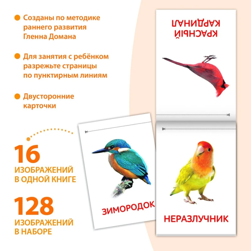 Набор развивающих книг Буква Ленд Карточки Домана Окружающий мир