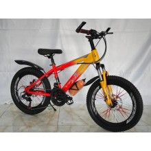 Uşaq velosipedi Çin 20