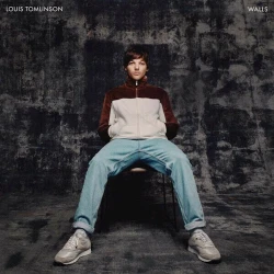 Vinil plastin Arista Records Louis Tomlinson - Walls
