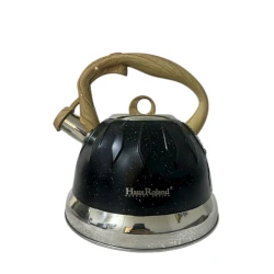 Чайник Haus Roland ZGH_00569, черный, 3 л
