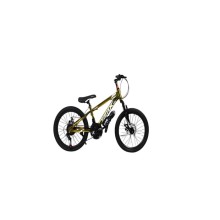 Velosiped BMX GTR-119 20