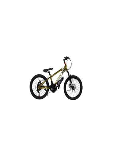 Velosiped BMX GTR-119 20