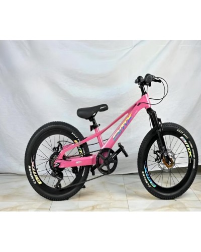 Velosiped 20