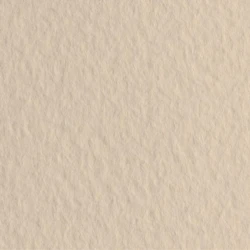 Бумага для пастели Fabriano Tiziano A3 29.7х42 160г/м² среднее зерно, №40 Avorio