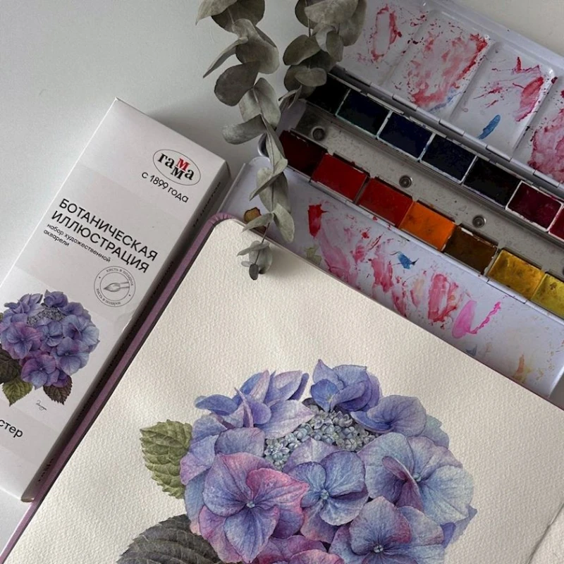 Набор акварельных красок Гамма Ботаническая иллюстрация 200622_7121, 14 цветов по 2.6 мл Набор акварельных красок Гамма Ботаническая иллюстрация 200622_7121, 14 цветов по 2.6 мл