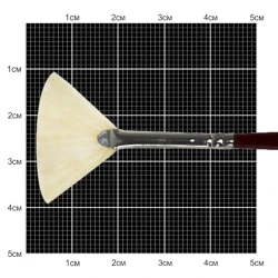 Кисть веерная Kolos 6007, щетина, № 0